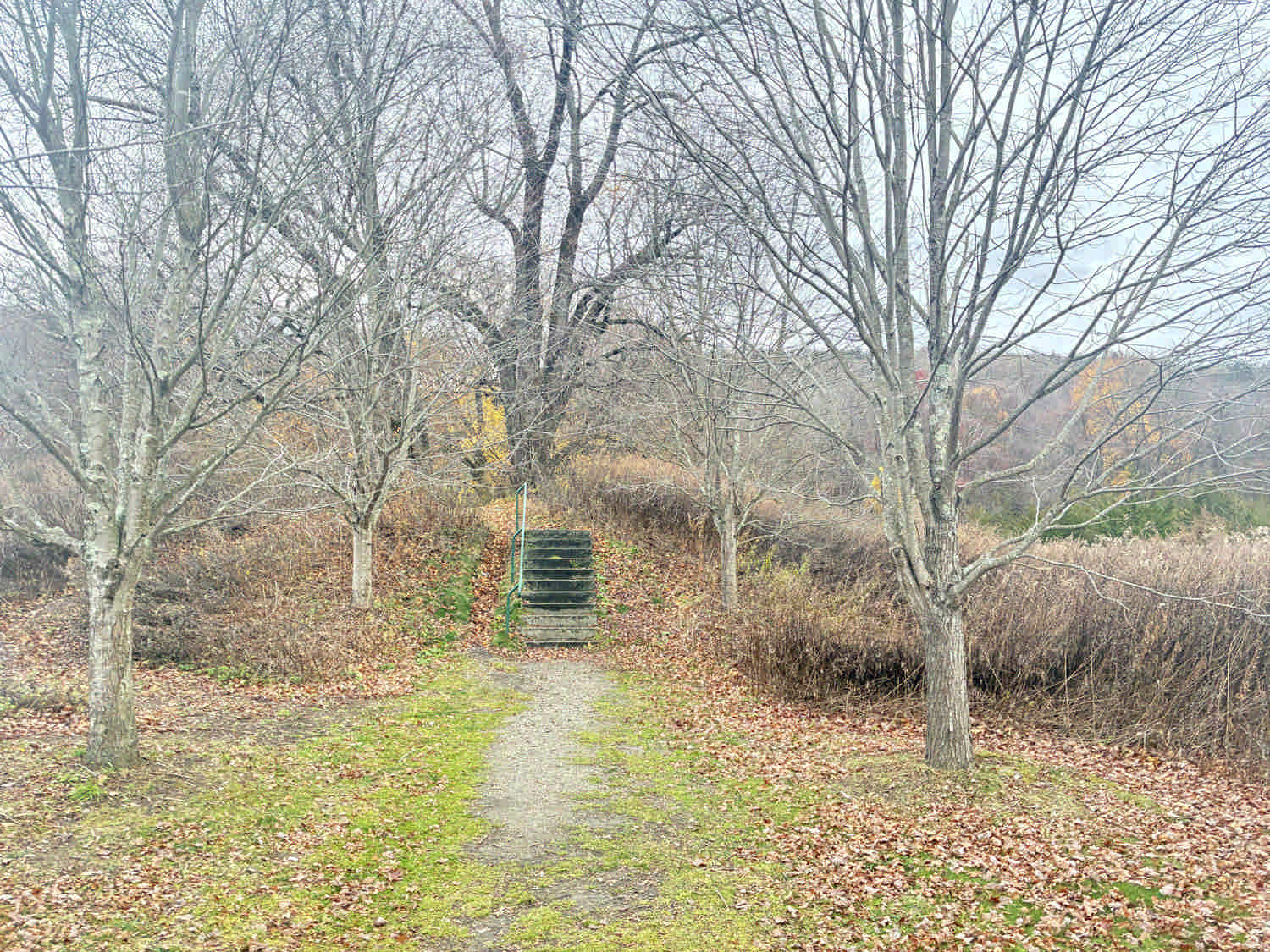 The fallen waters trail